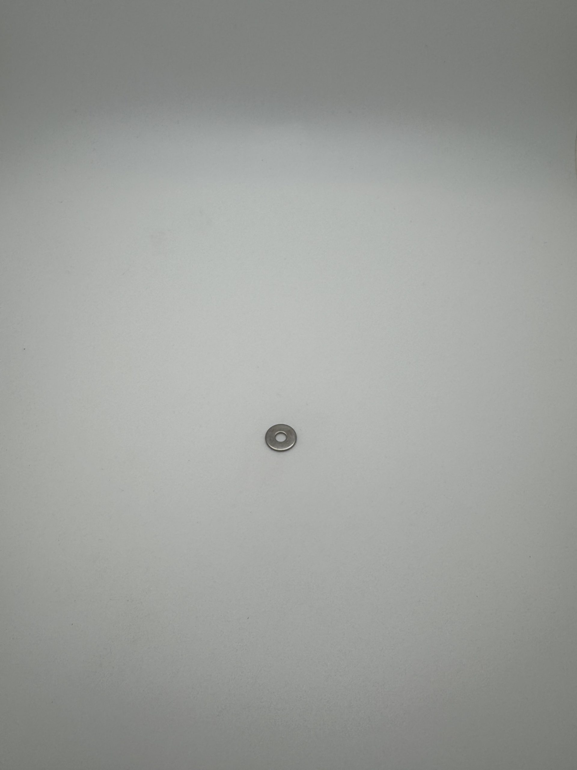 Flat,0.40 OD,0.141 ID,0.025 Thk,SS