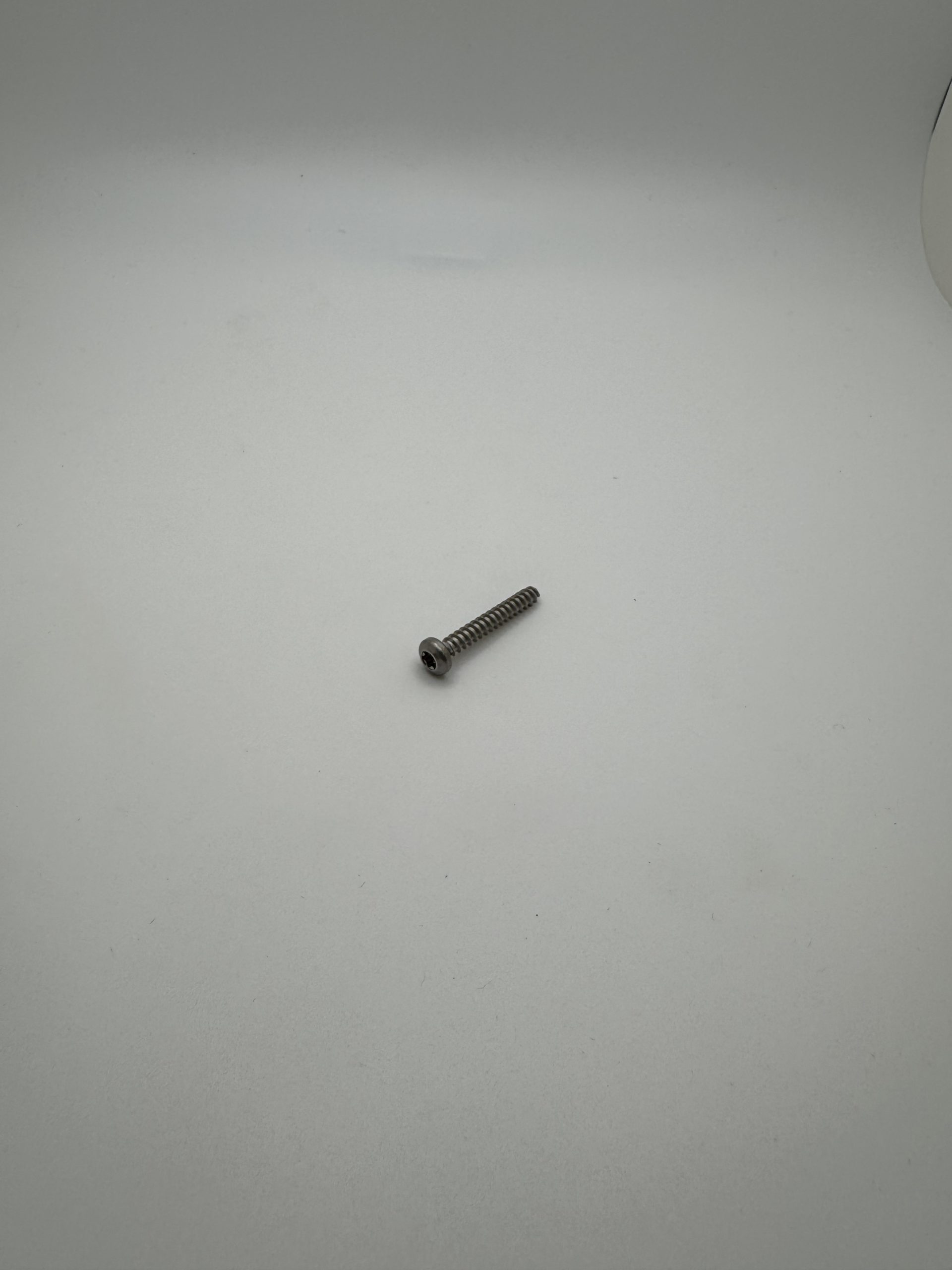 6-19 X 1.0,Torx Pan Head,Thread Forming,SS