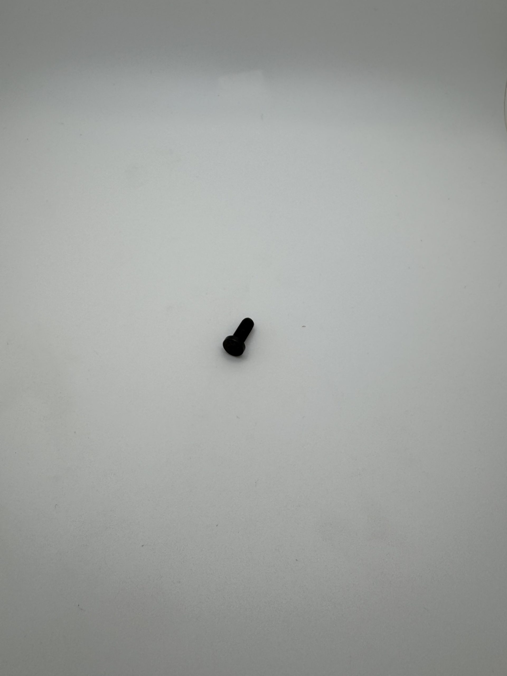 124417 Cast Screw Small - SMG, Shotgun